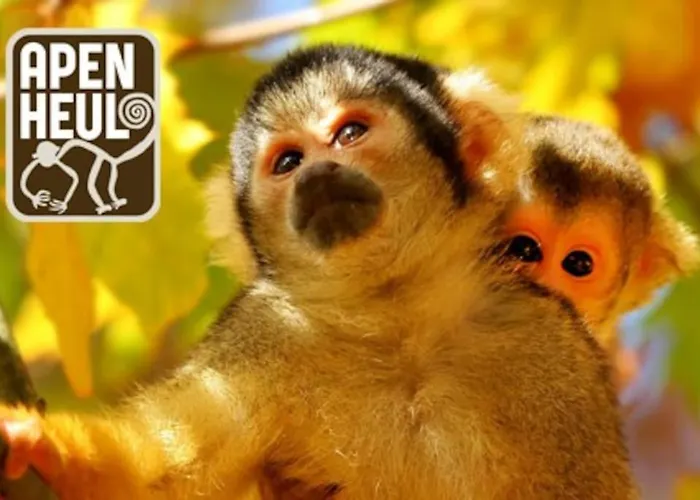 De Orangerie Вилла