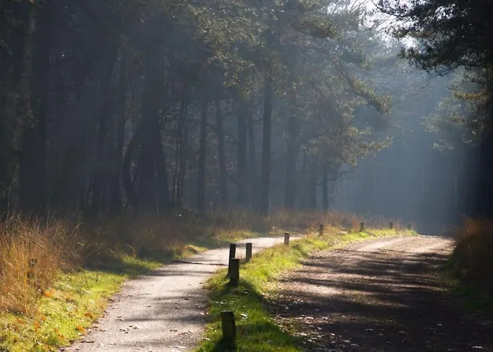Вилла De Orangerie