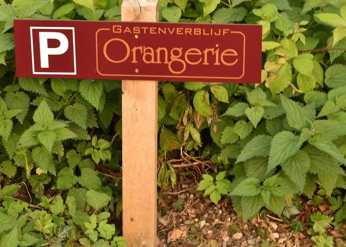 Вилла De Orangerie *