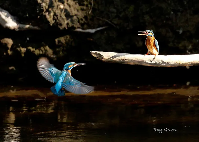 Вилла De Orangerie